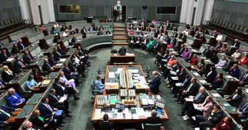 There's more to Parliament than Question Time